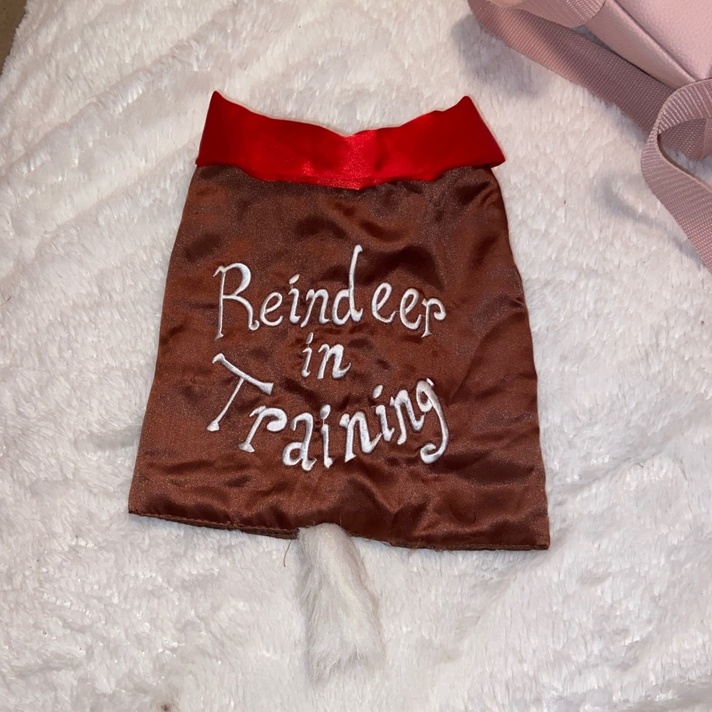 dog shirt